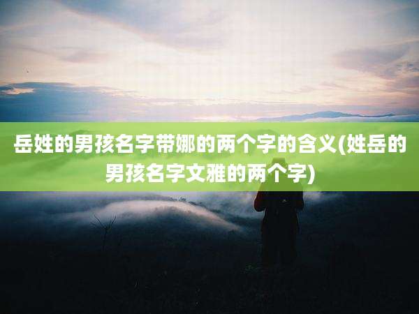 岳姓的男孩名字带娜的两个字的含义(姓岳的男孩名字文雅的两个字)