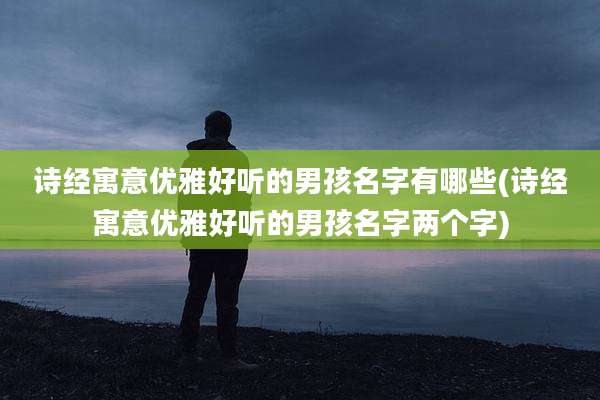 诗经寓意优雅好听的男孩名字有哪些(诗经寓意优雅好听的男孩名字两个字)