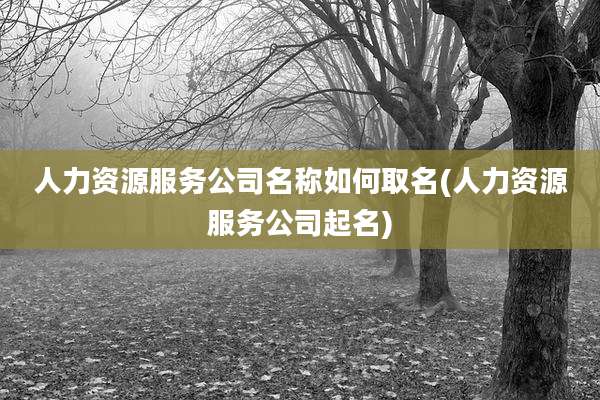 人力资源服务公司名称如何取名(人力资源服务公司起名)