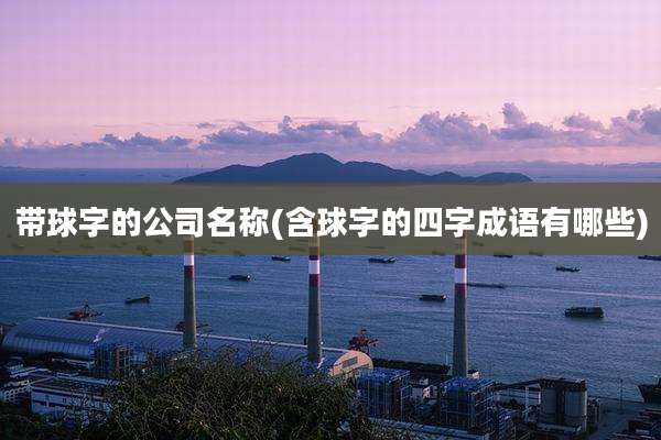 带球字的公司名称(含球字的四字成语有哪些)