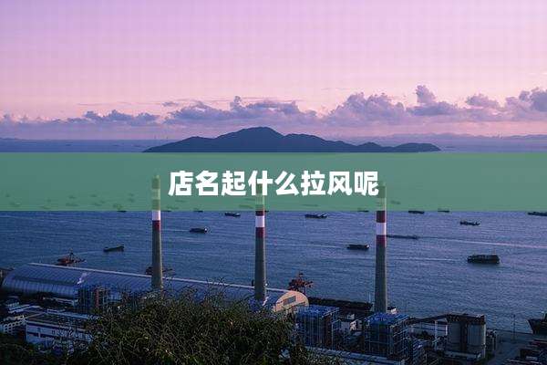 店名起什么拉风呢