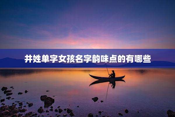 井姓单字女孩名字韵味点的有哪些