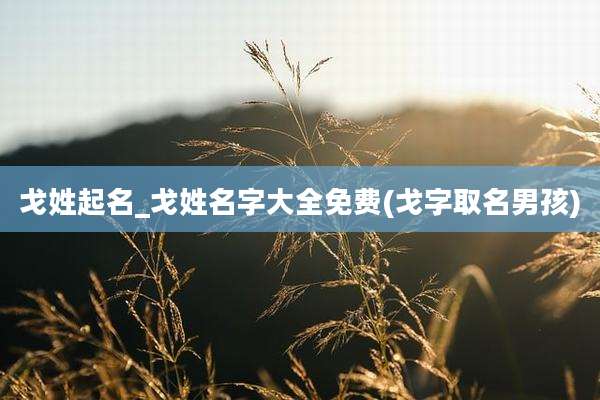 戈姓起名_戈姓名字大全免费(戈字取名男孩)