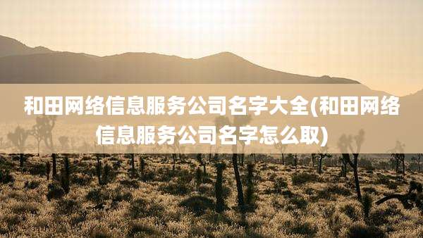 和田网络信息服务公司名字大全(和田网络信息服务公司名字怎么取)