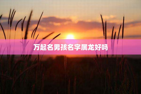万起名男孩名字属龙好吗