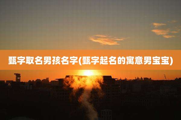 甄字取名男孩名字(甄字起名的寓意男宝宝)