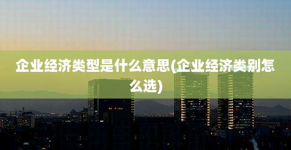 企业经济类型是什么意思(企业经济类别怎么选)