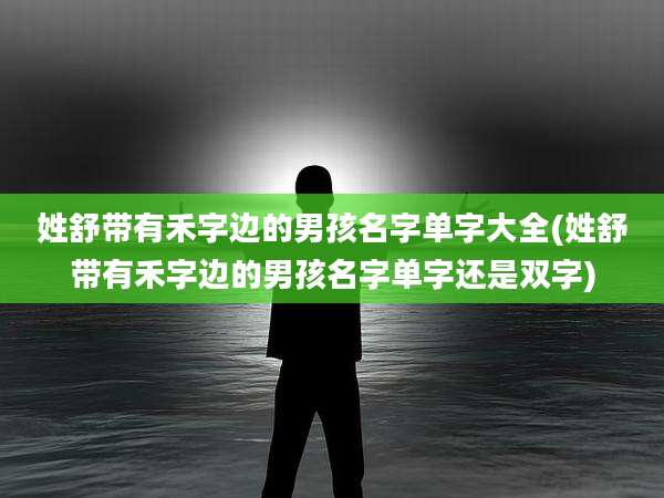 姓舒带有禾字边的男孩名字单字大全(姓舒带有禾字边的男孩名字单字还是双字)