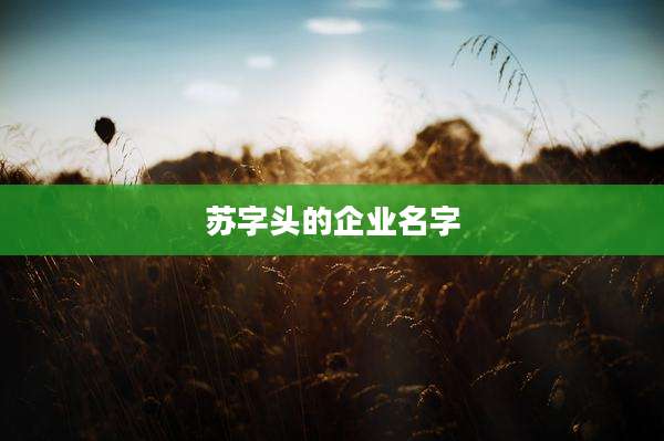 苏字头的企业名字