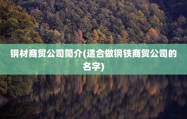 钢材商贸公司简介(适合做钢铁商贸公司的名字)