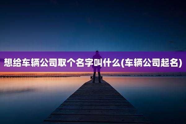 想给车辆公司取个名字叫什么(车辆公司起名)