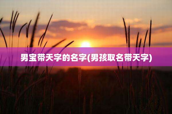 男宝带天字的名字(男孩取名带天字)