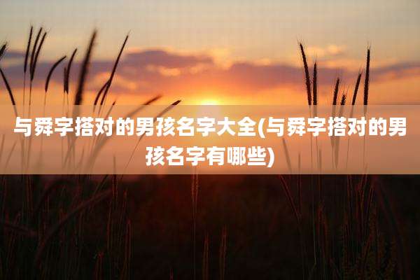 与舜字搭对的男孩名字大全(与舜字搭对的男孩名字有哪些)