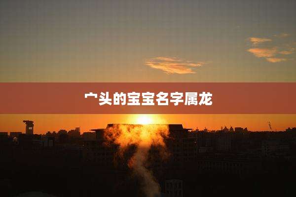 宀头的宝宝名字属龙