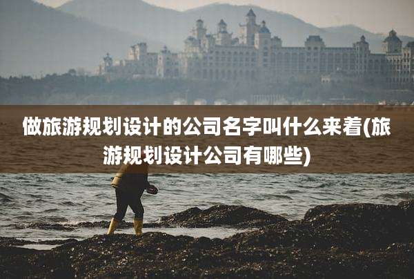 做旅游规划设计的公司名字叫什么来着(旅游规划设计公司有哪些)