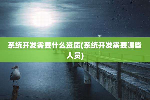 系统开发需要什么资质(系统开发需要哪些人员)