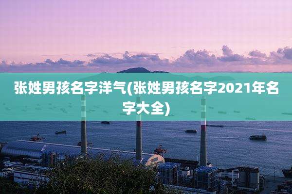 张姓男孩名字洋气(张姓男孩名字2021年名字大全)