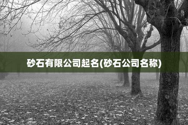 砂石有限公司起名(砂石公司名称)