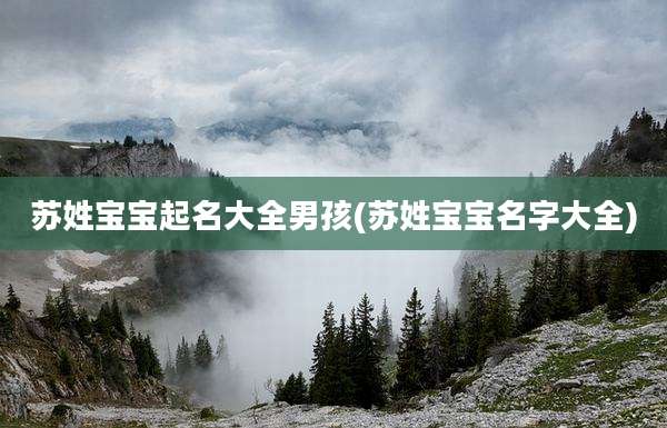 苏姓宝宝起名大全男孩(苏姓宝宝名字大全)