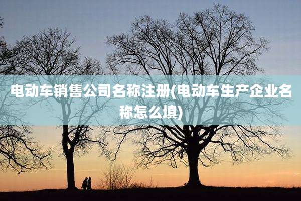 电动车销售公司名称注册(电动车生产企业名称怎么填)