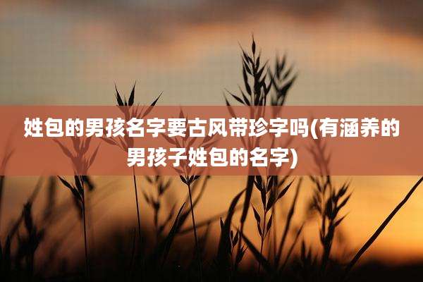 姓包的男孩名字要古风带珍字吗(有涵养的男孩子姓包的名字)