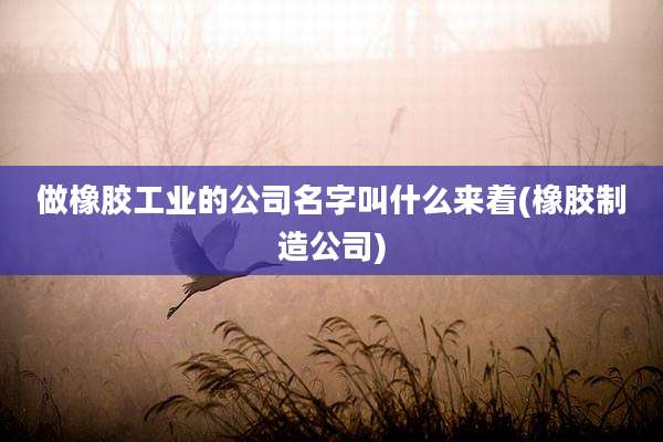 做橡胶工业的公司名字叫什么来着(橡胶制造公司)
