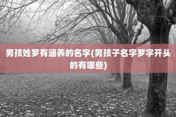 男孩姓罗有涵养的名字(男孩子名字罗字开头的有哪些)