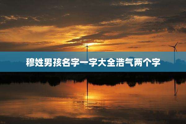 穆姓男孩名字一字大全浩气两个字