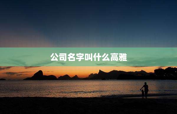 公司名字叫什么高雅