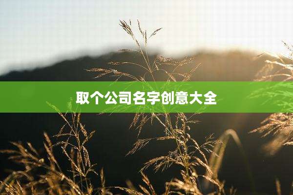 取个公司名字创意大全