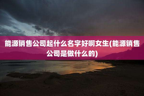 能源销售公司起什么名字好啊女生(能源销售公司是做什么的)