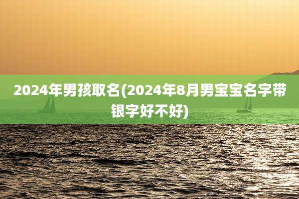 2024年男孩取名(2024年8月男宝宝名字带银字好不好)