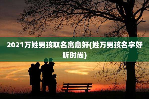 2021万姓男孩取名寓意好(姓万男孩名字好听时尚)