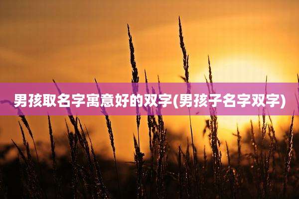男孩取名字寓意好的双字(男孩子名字双字)