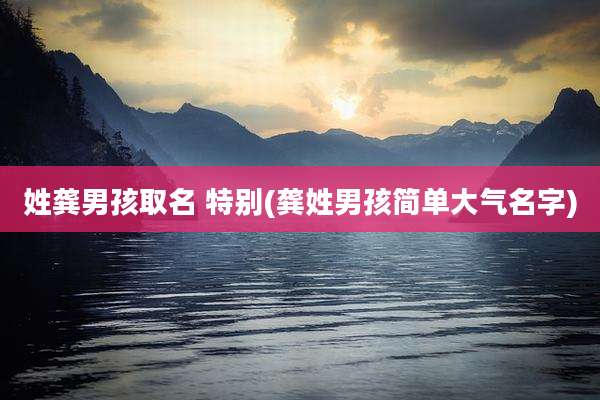 姓龚男孩取名 特别(龚姓男孩简单大气名字)