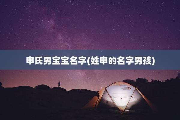 申氏男宝宝名字(姓申的名字男孩)
