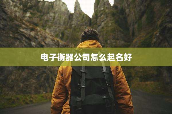 电子衡器公司怎么起名好