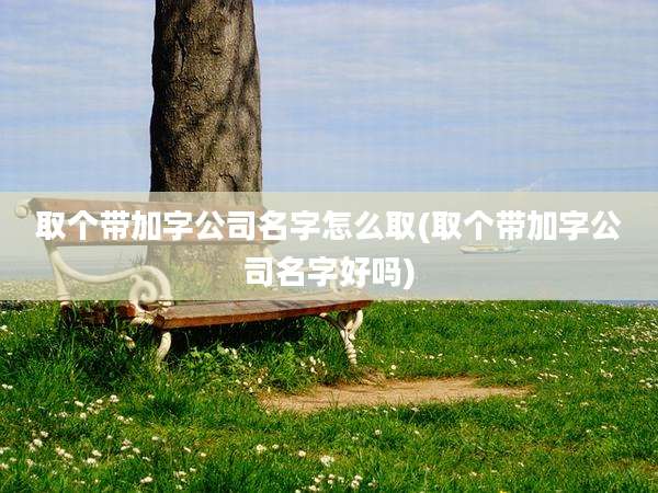 取个带加字公司名字怎么取(取个带加字公司名字好吗)
