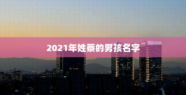 2021年姓蔡的男孩名字