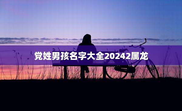 党姓男孩名字大全20242属龙