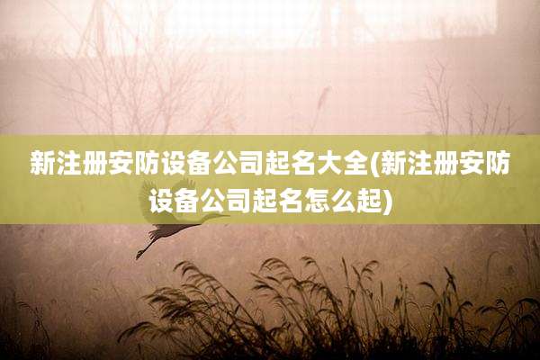 新注册安防设备公司起名大全(新注册安防设备公司起名怎么起)
