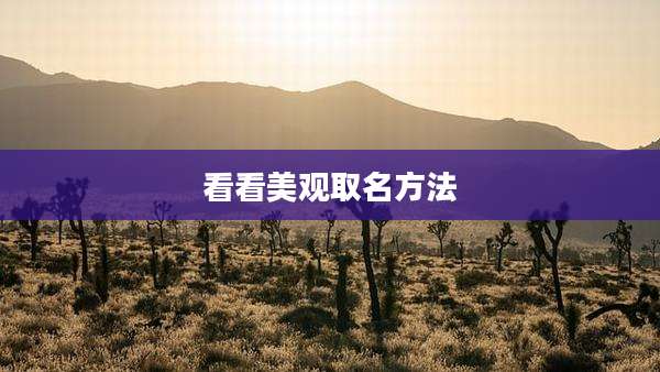 看看美观取名方法