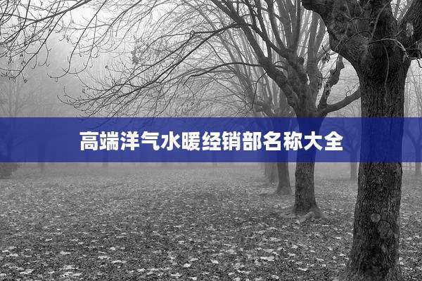高端洋气水暖经销部名称大全