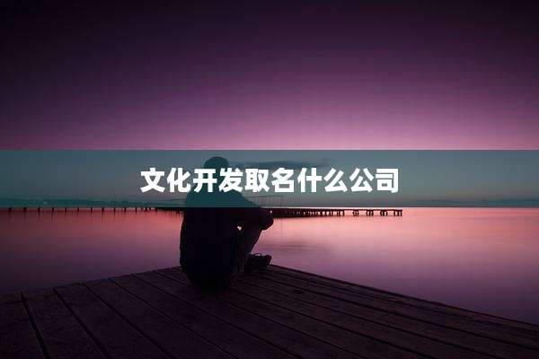 文化开发取名什么公司