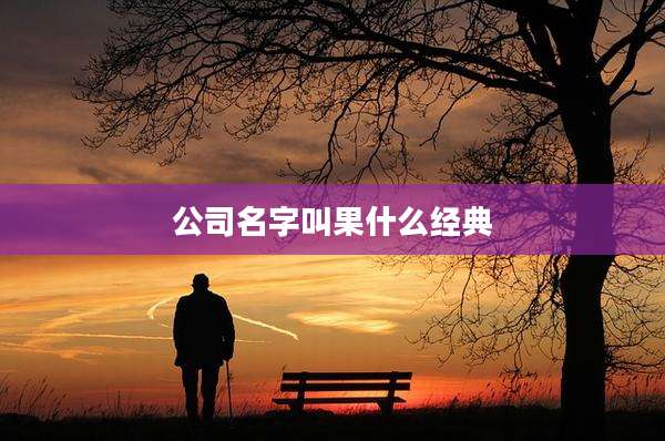 公司名字叫果什么经典