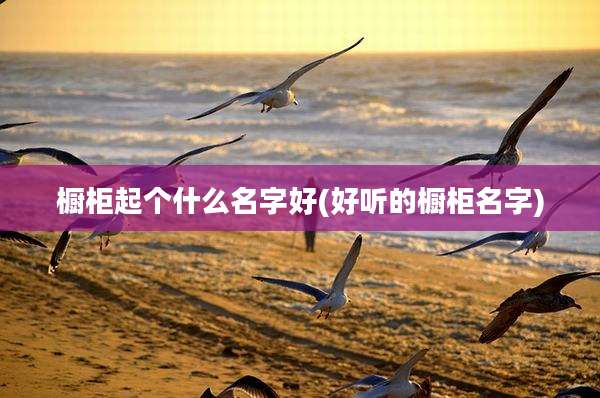 橱柜起个什么名字好(好听的橱柜名字)
