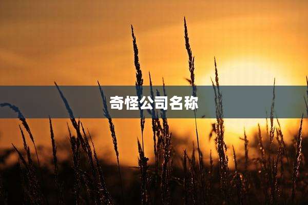 奇怪公司名称