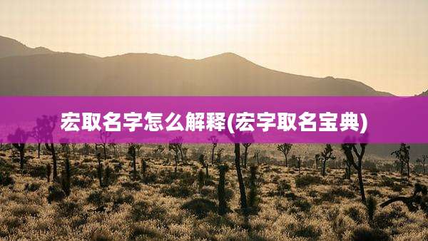 宏取名字怎么解释(宏字取名宝典)
