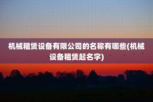 机械租赁设备有限公司的名称有哪些(机械设备租赁起名字)