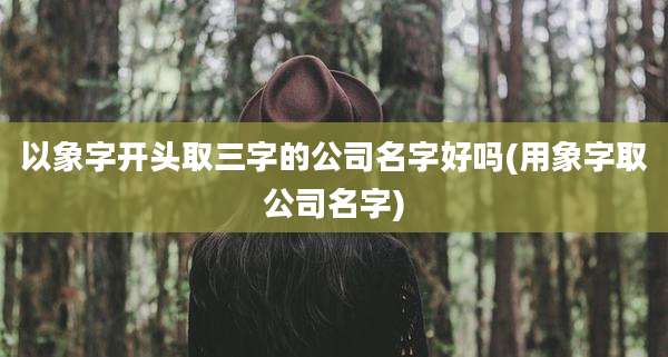 以象字开头取三字的公司名字好吗(用象字取公司名字)